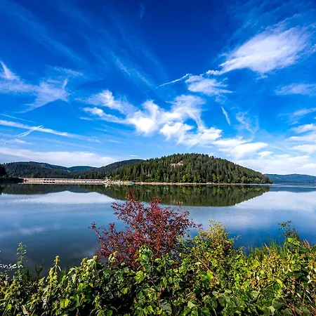 App1515 - Schluchseeglück Mit Indoorpool, 3*