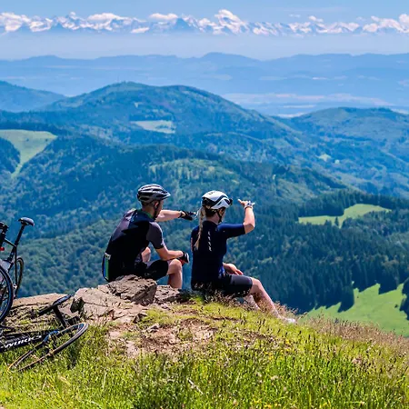 App1515 - Schluchseeglück Mit Indoorpool, Apartamento Schluchsee