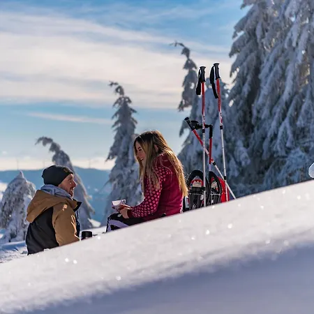 Apartamento App1515 - Schluchseeglück Mit Indoorpool, Schluchsee