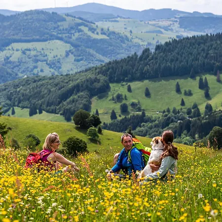 App1515 - Schluchseeglück Mit Indoorpool,