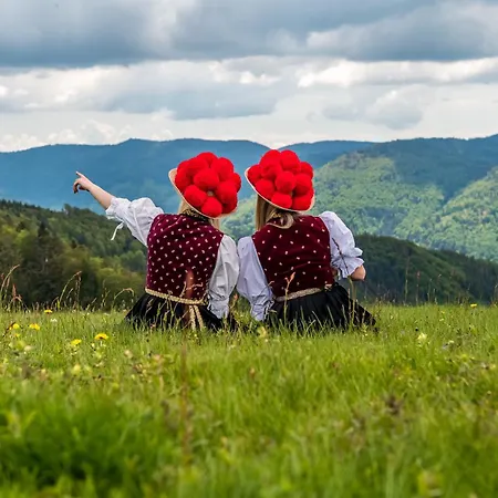 App1515 - Schluchseeglück Mit Indoorpool, Apartamento 3*