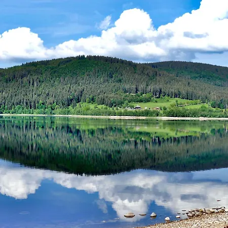 Apartamento App1515 - Schluchseeglück Mit Indoorpool, Schluchsee