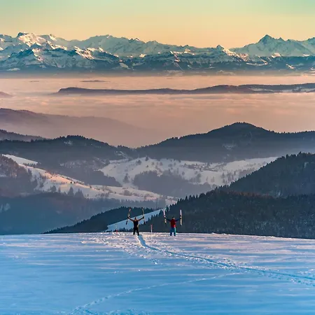 App1515 - Schluchseeglück Mit Indoorpool, 3*