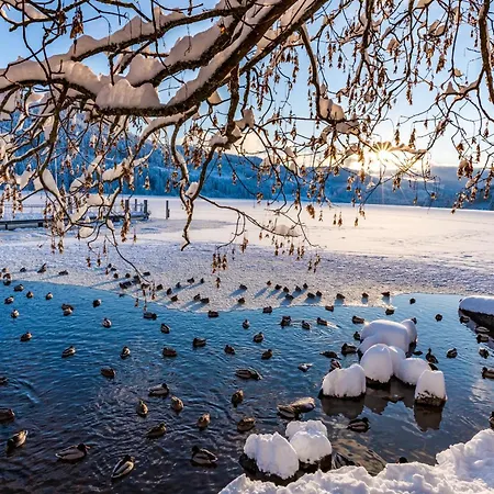 App1515 - Schluchseeglück Mit Indoorpool, 3* Schluchsee