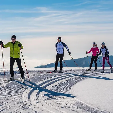 App1515 - Schluchseeglück Mit Indoorpool, Schluchsee