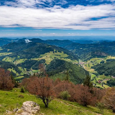 App1515 - Schluchseeglück Mit Indoorpool, Apartamento Schluchsee